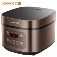 九阳(Joyoung)电饭煲电饭锅4L微电脑式智能预约饭煲多功能小米粥家用煮饭锅2-6人 4L饭煲 铜匠厚釜 家用电锅
