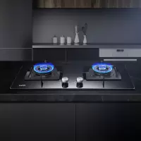 华帝（VATTI）燃气灶天然气 4.2kw猛火力 一级能效 厨房家用嵌入式台式两用灶具 燃气灶 液化气