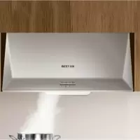 华帝百得中式大吸力顶吸抽油烟机脱排小型厨房家用老式油烟机特价 亚光银