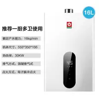 樱花升智能恒温燃气热水器家用天然气强排洗澡正品 16升天然气 天然气