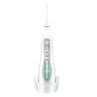 松下(Panasonic)电动冲牙器 洗牙器 水牙线 牙齿清洁器 口腔冲洗器 便携洁牙器 家庭洗牙机 绿色