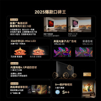 创维(Skyworth) 100A5F