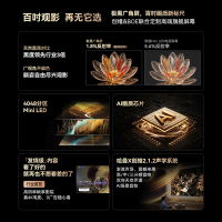 创维电视 100A6F Pro