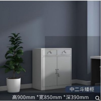 铜林铁皮柜文件柜TL-0051