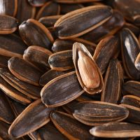 [大瓜子]新货炒货焦糖瓜子五香原味干炒瓜子葵花籽休闲零食批发