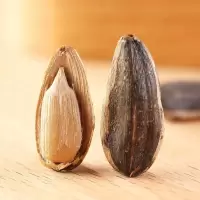 [大颗粒]焦糖瓜子五香干炒瓜子葵花籽100g休闲零食散装瓜子批发