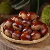 丹东新鲜板栗生5斤栗子当季油栗去皮毛板栗仁锥栗蔬菜