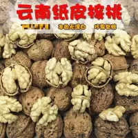 新货物纸皮核桃薄皮核桃3斤5斤1斤多规格核桃