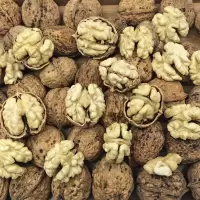 新货纸皮核桃薄皮薄壳新货生核桃新核桃1斤5斤 批发