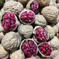 新货红衣核桃红皮薄壳红米核桃坚果零食