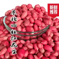 新鲜红皮花生米3斤 真空包装带花生酱