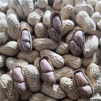 [蒜香花生] 水煮花生白晒咸干五香花生带壳熟花生150g-5斤