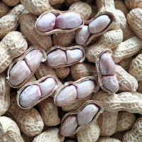 水煮花生盐日晒咸干下酒菜花生蒜香花生办公室小零食坚果特产