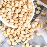 新货东北松子仁含罐 250g原味熟坚果仁干果零食1斤散装