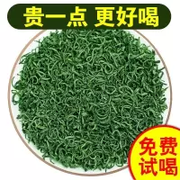 [一斤] 春茶云雾绿茶新茶浓香高山茶叶绿茶炒青浙江绿茶 高山云雾绿茶500克