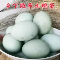 新鲜生鸭蛋正宗微山湖新鲜生鸭蛋农家生态放散养青皮绿壳鸭蛋 现捡[65-75克]大土鸭蛋30枚