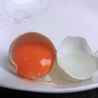 [顺丰]大个新鲜鸭蛋青壳农家散养土鸭蛋生鸭蛋麻鸭蛋 10枚试吃装[约1.4斤] 均重约70-75克