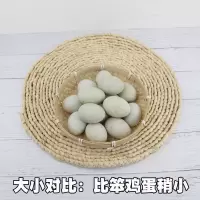 新鲜生鸭蛋正宗微山湖新鲜生鸭蛋农家生态放散养青皮绿壳鸭蛋 【抢】40-50克初生土鸭蛋40枚