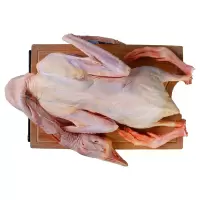 大雁鹅农家散养新鲜冷冻鹅肉鹅掌笨鹅整只土鹅嫩鹅滋补食材 散养现杀6-7斤送料包