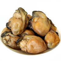 淡晒生蚝干大号牡蛎干货个个带膏不抽油特产海蛎干蚝仔干