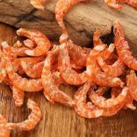 淡晒无皮磷虾虾米淡干虾米虾仁小海米海鲜干货