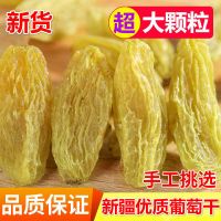 新货 正宗无核白葡萄干大颗粒原生态葡萄干蜜钱果干批发