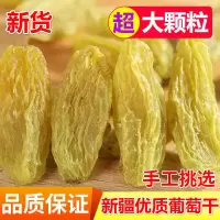 新货吐鲁番正宗无核白葡萄干大颗粒原生态葡萄干蜜钱果干批发