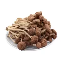 不开伞茶树菇香菇批发农家特产干货2021年新货多规格