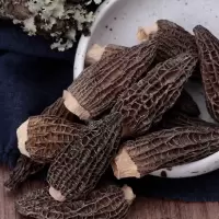 精选云南羊肚菌干货剪柄菌土特产煲汤食用新鲜羊肚菇菌松茸菇