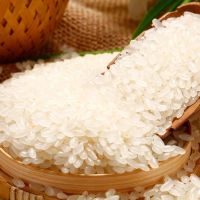 新大米 蟹田米香米大米 米粳米  东北软香米10斤