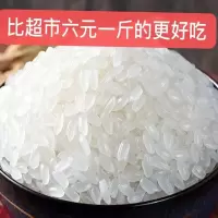新大米 蟹田米香米米粳米  香米10斤
