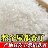 新大米 蟹田米香米米粳米  稻花香米10斤