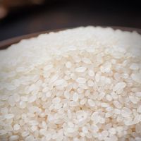 新大米 蟹田米香米米粳米  甑选五常香米10斤