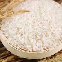 新大米 蟹田米香米大米 米粳米  香米10斤