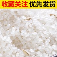 新大米 蟹田米香米米粳米  大米[一般大米]10斤