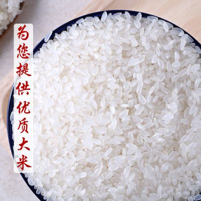 新大米 蟹田米香米东北大米 正宗盘锦碱地米粳米 精选五常长粒香大米5斤