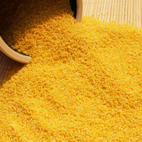 米脂黄小米新米 农家自产小米养胃小黄米杂粮粥  黄小米2斤
