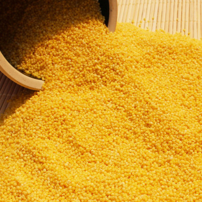 米脂黄小米新米 农家自产小米养胃小黄米杂粮粥  黄小米2斤