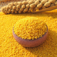 新米 小米天山大金苗农家黄小米 杂粮敖汉 5斤装新米