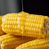 新鲜黄糯玉米棒260g粘玉米粒特产真空包装五谷杂粗粮6根 黄糯玉米 6根*[260g-280g]/根