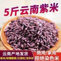 墨江紫糯米新米黑米糯米3 大米五谷杂粮粗粮血糯米 墨江紫米5斤装