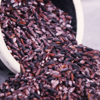 紫米墨江紫糯米农家自种紫糯米血糯米20年新米糯香米新紫米 1斤装