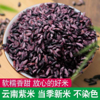 紫米墨江紫糯米农家自种紫糯米血糯米20年新米糯香米新紫米 5斤装