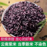 紫米墨江紫糯米农家自种紫糯米血糯米20年新米糯香米新紫米 5斤装
