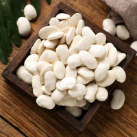  优质白芸豆新货 大芸豆新鲜扁豆五谷杂粮大白豆雪豆1斤 中粒/白芸豆2斤