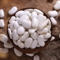 优质云南白芸豆新货 大芸豆新鲜扁豆五谷杂粮大白豆雪豆1斤 大白芸豆2斤