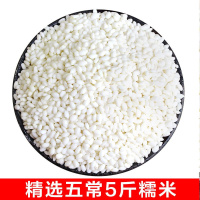 新糯米 江米粘糯米东北圆粒白糯米黏粘大米包粽子米 精选5斤糯米