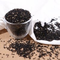 新货熟黑芝麻熟白芝麻生黑芝麻生白芝麻熟黑芝麻粉无沙即食一斤装 [熟黑芝麻]3斤