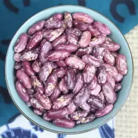新豆2斤5斤紫花芸豆四季豆煮粥饭豆大碴粥专用紫红花芸豆花腰豆子 5斤