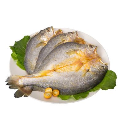 黄花鱼大黄鱼鲞醉香酒糟黄鱼红糟鱼大黄鱼水产黄花鱼鲞黄瓜鱼 3只装[3斤制作]200克/只-顺丰
